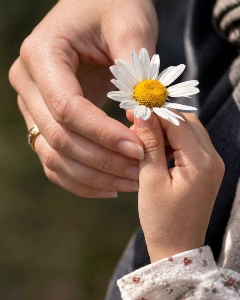 A child&rsquo;s hand holding out a daisy to an adult&rsquo;s open hand